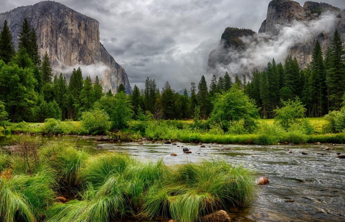 forest-river-usa-grass-california-clouds-nature-sky-yosemite-national-park-034